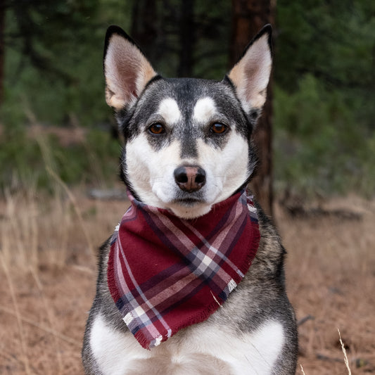 Galway Flannel Bandana - Clip On