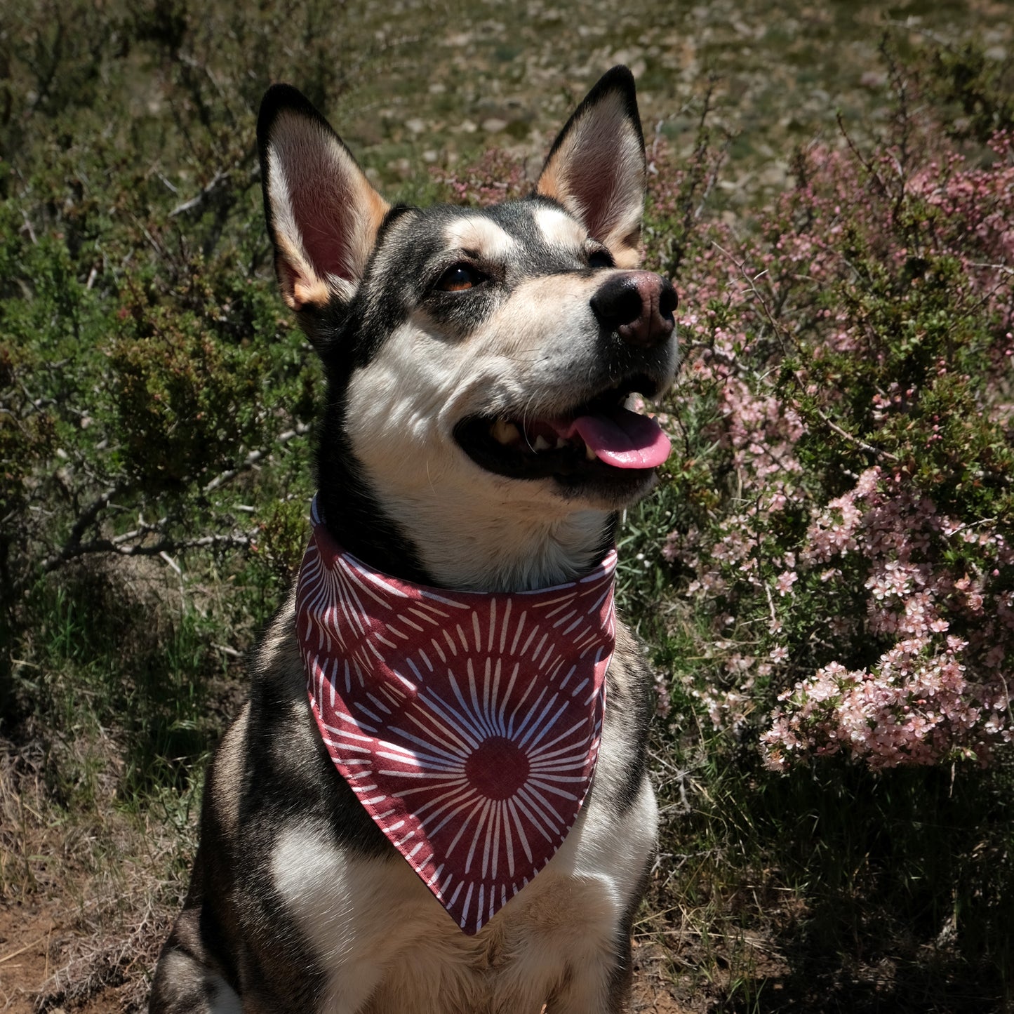 Feather Sunburst Reversible Bandana