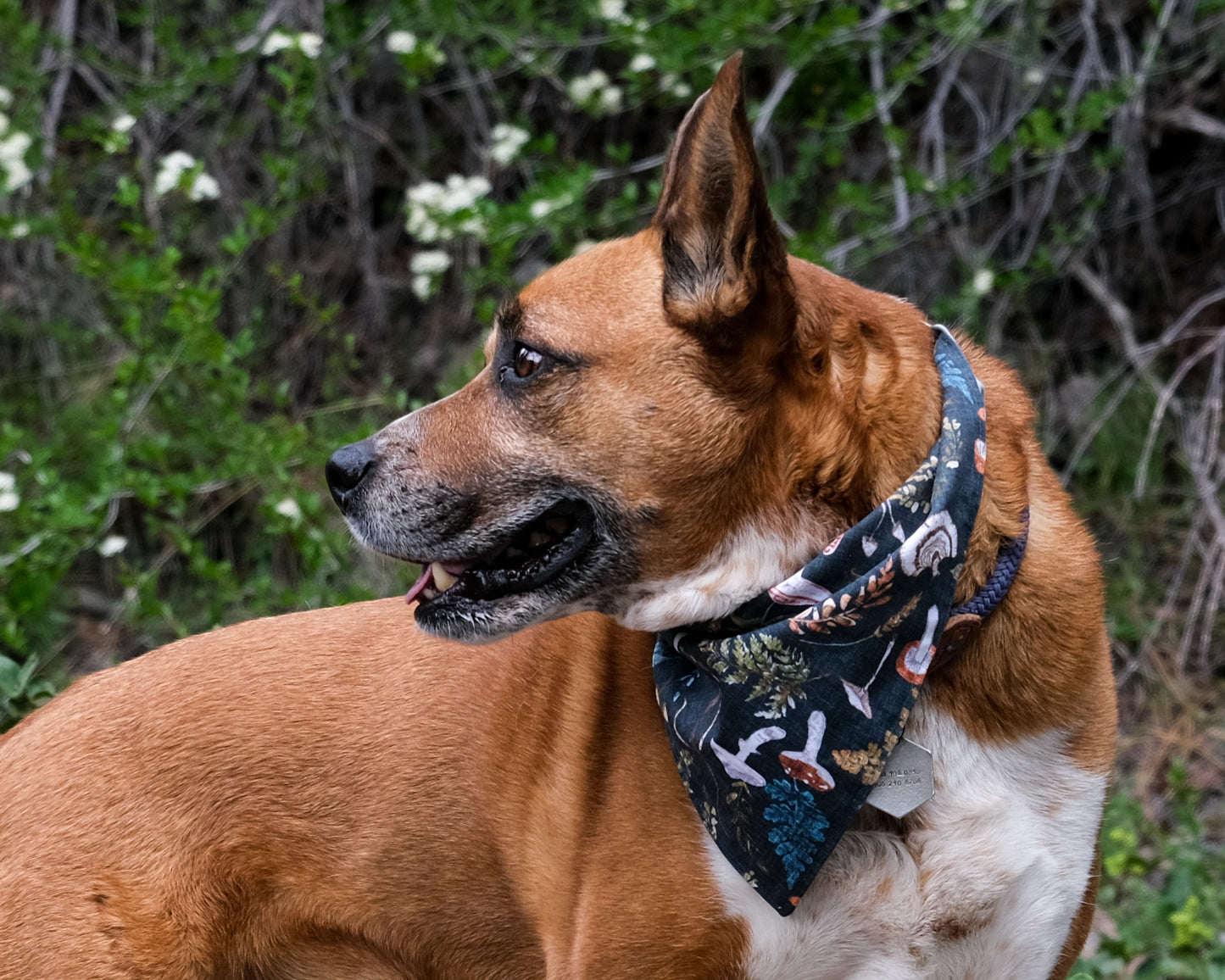 Summer Woodland Reversible Bandana