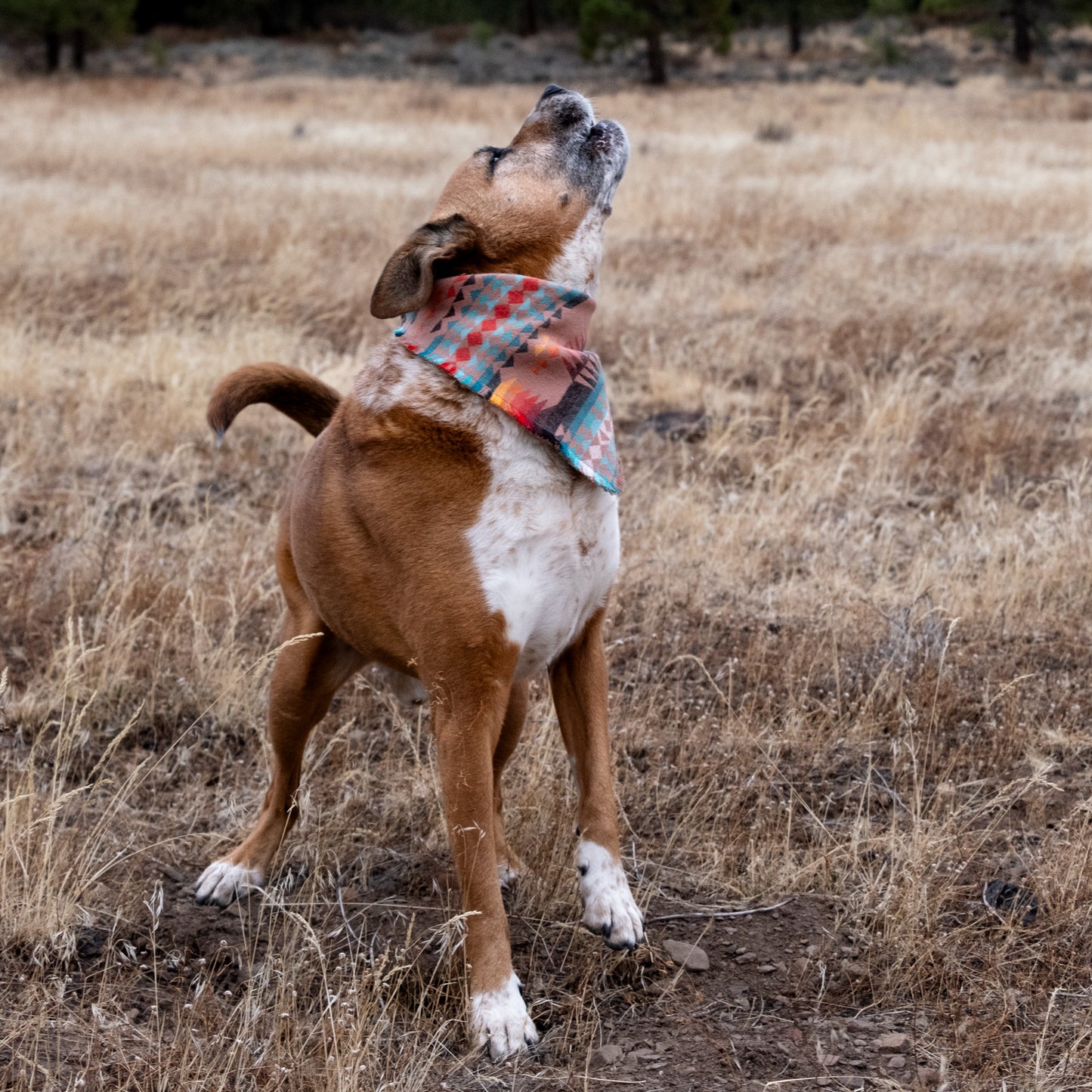 Prairie Flannel Bandana - Clip On