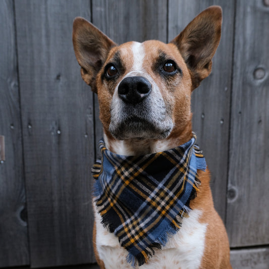 Tahoe Flannel Bandana - Clip-On