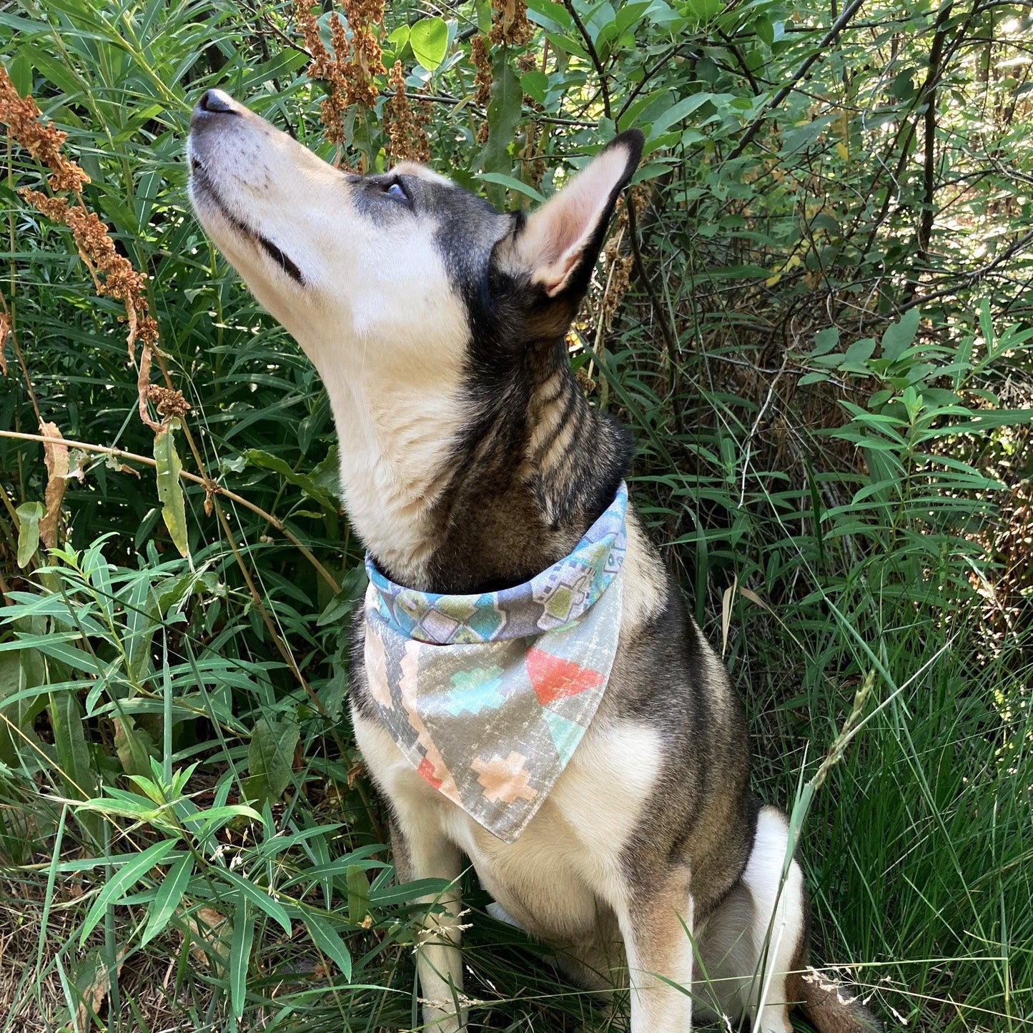 Aztec Geo Reversible Bandana - Clip On