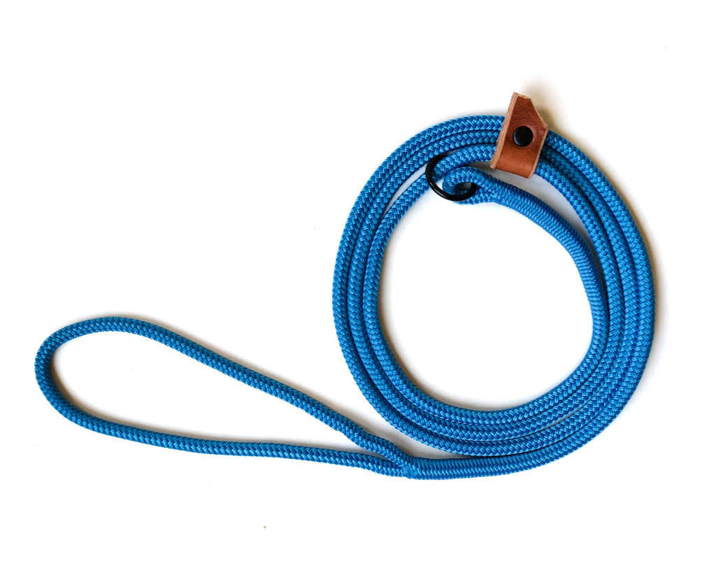 Thin Rope Slip Lead Small Dog Slip Lead WanderDog Designs