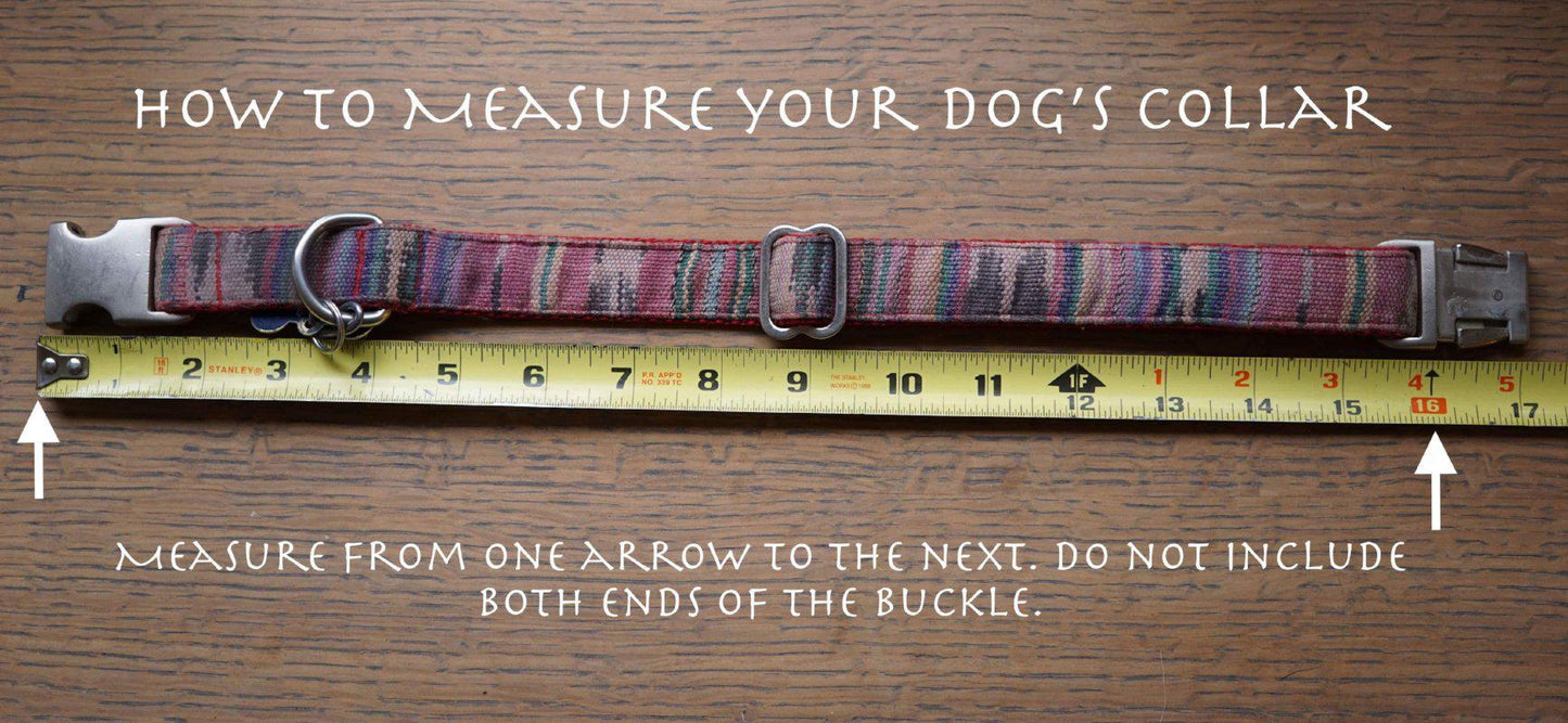 The Daily Getup-Dog Collar-[curren_alte_text]-WanderDog Designs