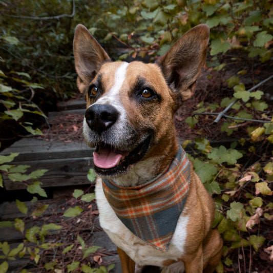 The Stowe Plaid Clip Bandana